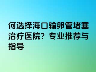 何選擇海口輸卵管堵塞治療醫(yī)院？專業(yè)推薦與指導(dǎo)