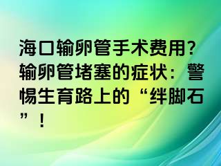 ?？谳斅压苁中g(shù)費用？輸卵管堵塞的癥狀：警惕生育路上的“絆腳石”！