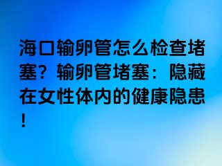 海口輸卵管怎么檢查堵塞？輸卵管堵塞：隱藏在女性體內(nèi)的健康隱患！